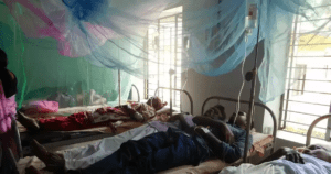fever-h1n1-dengu-sikka-mosquito