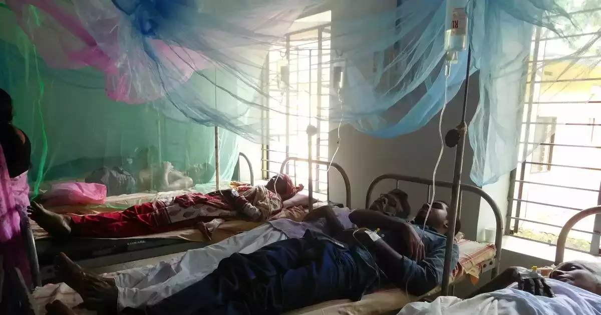 fever-h1n1-dengu-sikka-mosquito