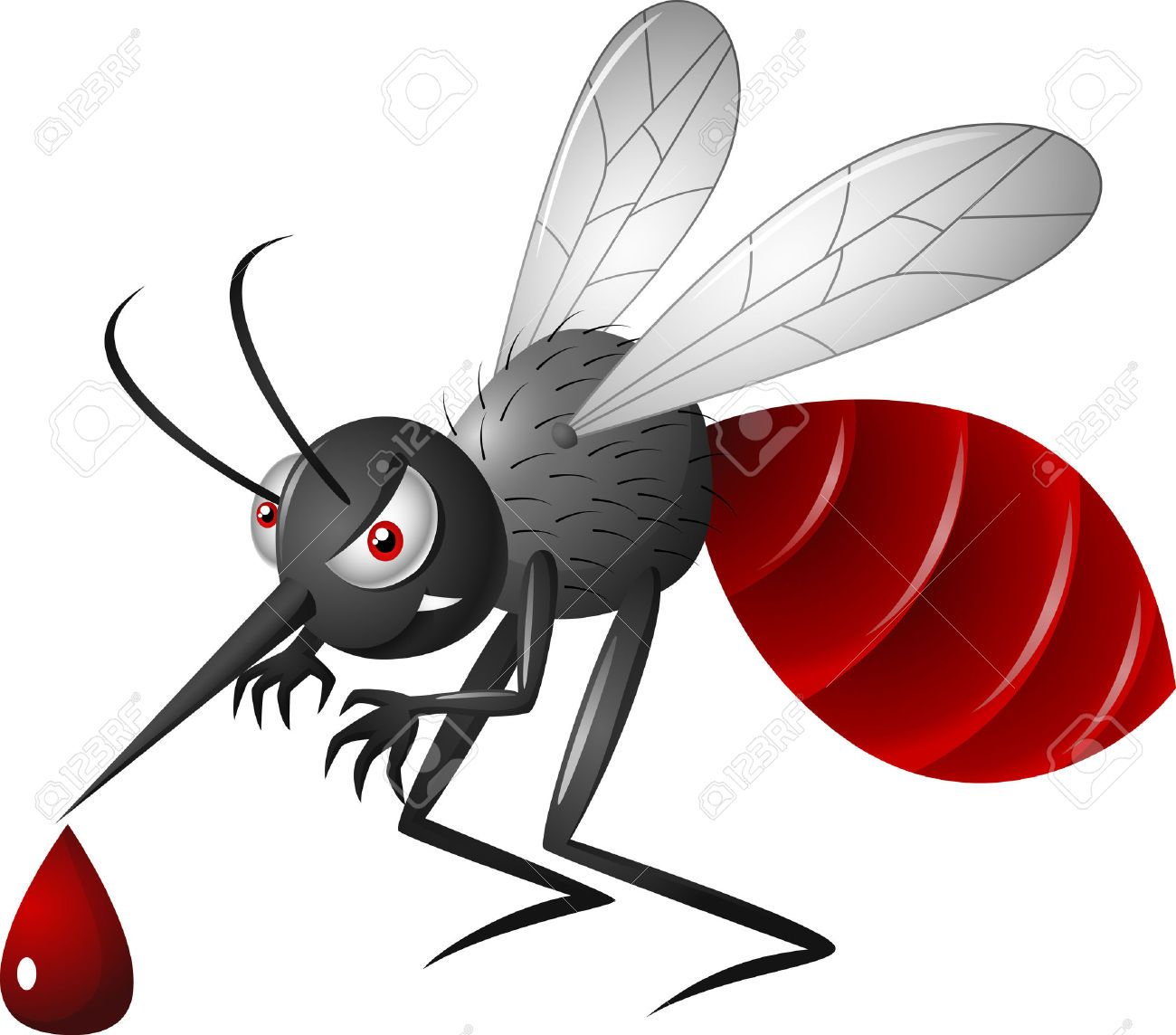 dengu-edis-mosquito-health-minister-vigilant