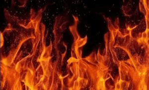 fire-vehicle-license-driving