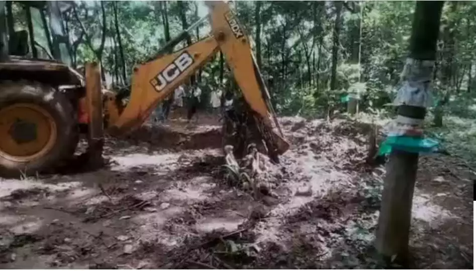 elephant-dead-crime-wild-animals