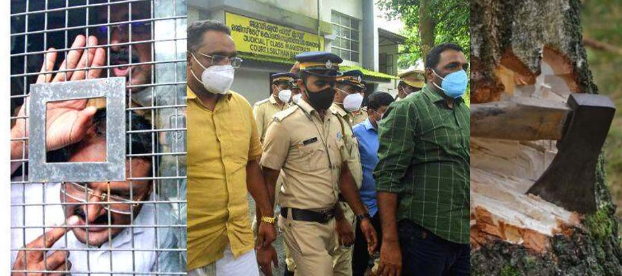 maram-muri-case-muttil-case-crime