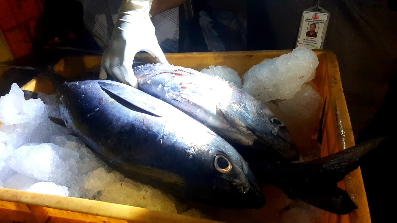 fish-market-raid-health-officers-corporation