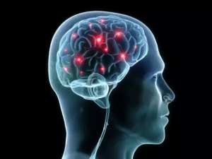 science-head-brain