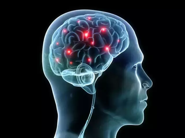 science-head-brain