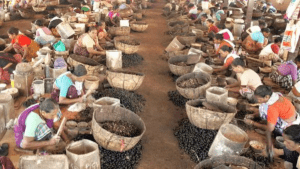 bonus-onam-cashew-factory