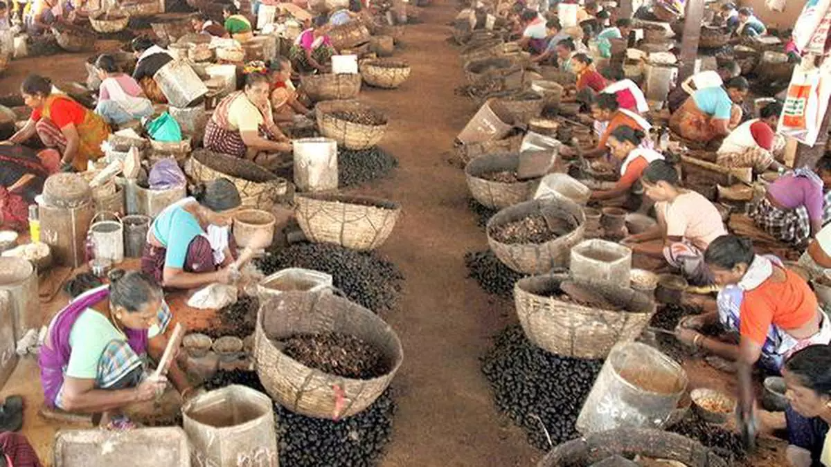 bonus-onam-cashew-factory