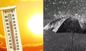 sun-burn-earth-mazha-rain-harvest