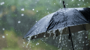 mazha-rain-flood