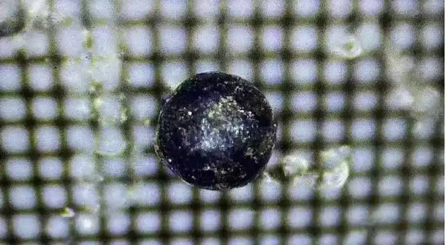 anya-grahajeevi-in-earth