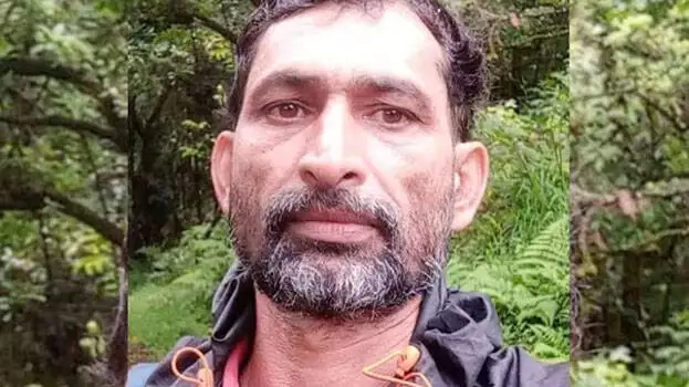 forest watcher-dead-in elephants-kick
